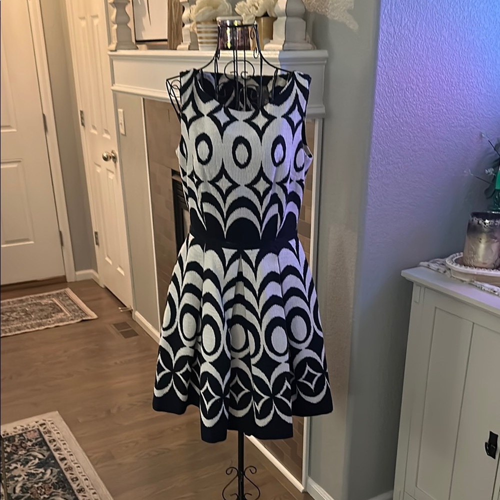 Navy and White Fit and Flare Dress